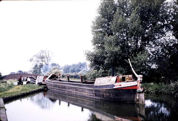 BW197-2-26-40-5 image BW197-2-26-40-5