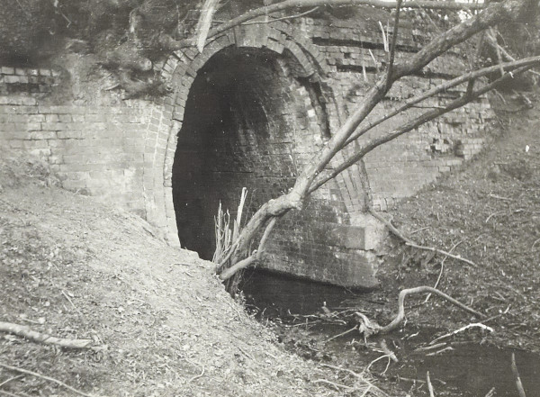 BW200-1-51-5 image BW200-1-51-5