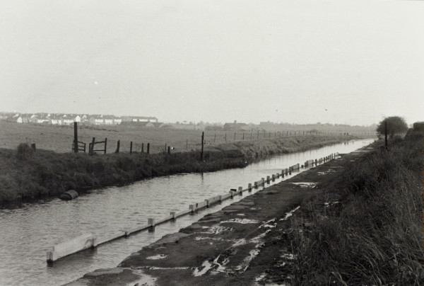 BW192-3-2-1-2-5 image BW192-3-2-1-2-5