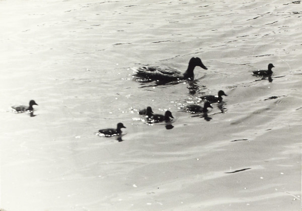 BW200-1-85-2-5 image BW200-1-85-2-5