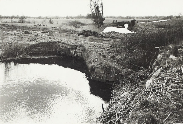 BW200-1-12-5 image BW200-1-12-5