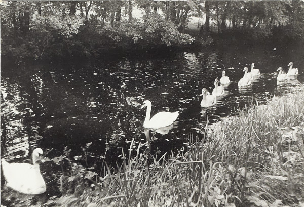 BW200-1-7-22-5 image BW200-1-7-22-5