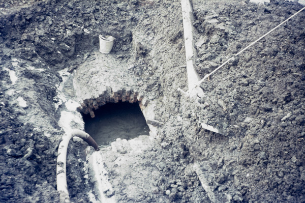 BW197-2-20-42-5 image BW197-2-20-42-5