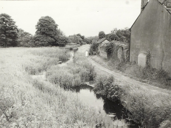 BW200-1-64-3-5 image BW200-1-64-3-5
