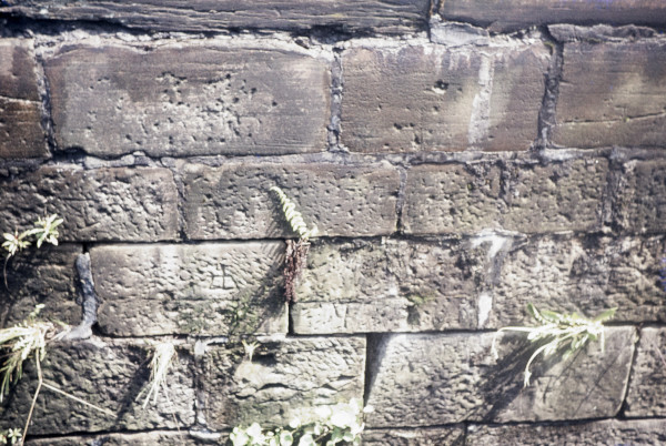 BW197-2-27-3-5 image BW197-2-27-3-5