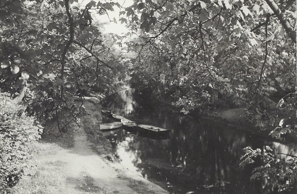 BW200-1-7-13-5 image BW200-1-7-13-5