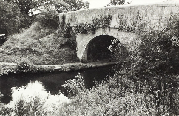 BW200-1-47-23-5 image BW200-1-47-23-5