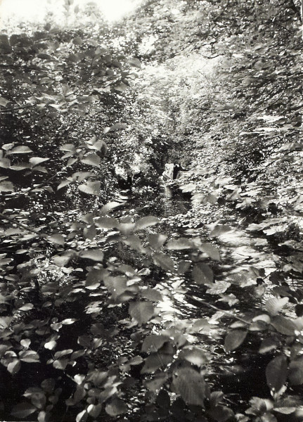 BW200-1-89-34-5 image BW200-1-89-34-5