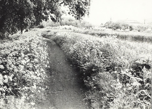 BW200-1-47-54-5 image BW200-1-47-54-5