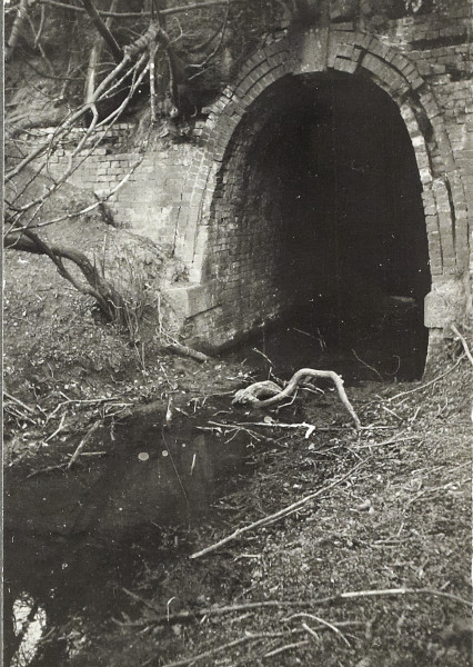 BW200-1-51-5-5 image BW200-1-51-5-5