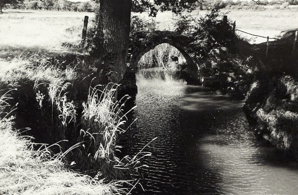 BW200-1-106-5-5 image BW200-1-106-5-5