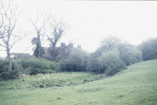 BW197-2-28-25-5 image BW197-2-28-25-5