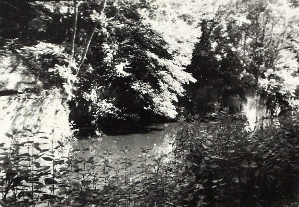 BW200-1-89-35-5 image BW200-1-89-35-5