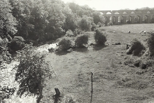 BW200-1-55-5 image BW200-1-55-5