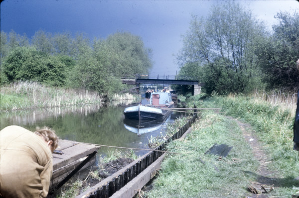 BW197-2-20-6-5 image BW197-2-20-6-5