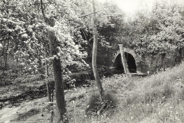 BW200-1-51-6-5 image BW200-1-51-6-5