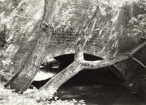 BW200-1-89-26-5 image BW200-1-89-26-5