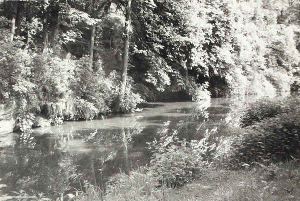 BW200-1-89-46-5 image BW200-1-89-46-5