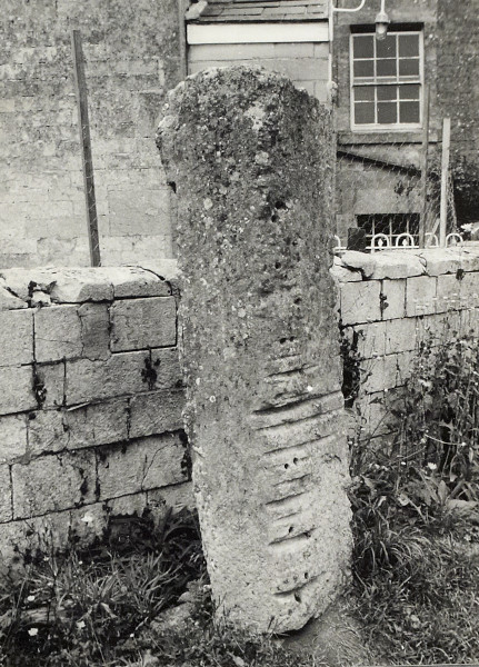 BW200-1-47-56-5 image BW200-1-47-56-5