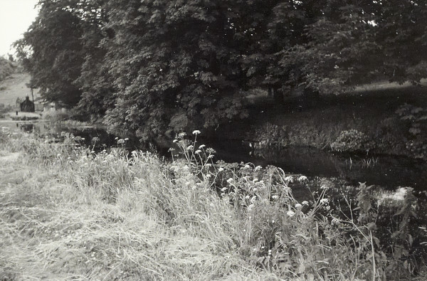 BW200-1-64-7-5 image BW200-1-64-7-5
