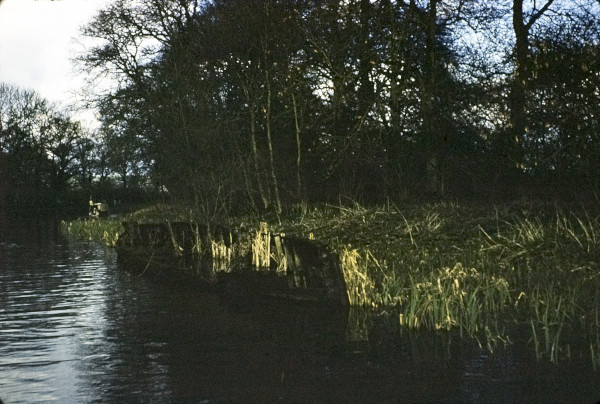 BW197-2-17-7-5 image BW197-2-17-7-5