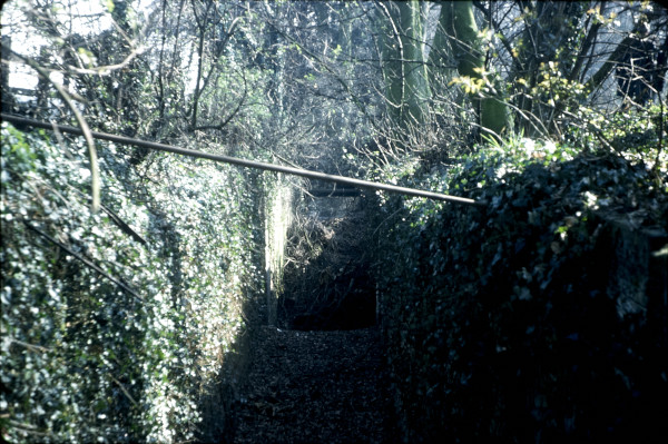 BW197-2-22-17-5 image BW197-2-22-17-5