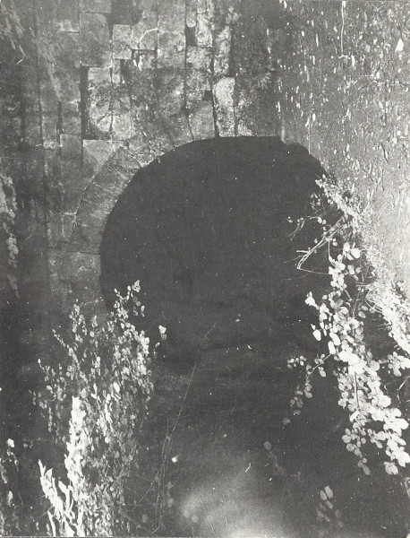 BW200-1-97-17-5 image BW200-1-97-17-5