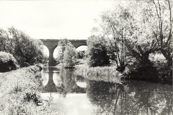 BW200-1-89-27-5 image BW200-1-89-27-5