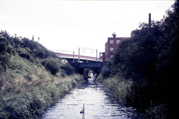 BW197-2-6-8-5 image BW197-2-6-8-5