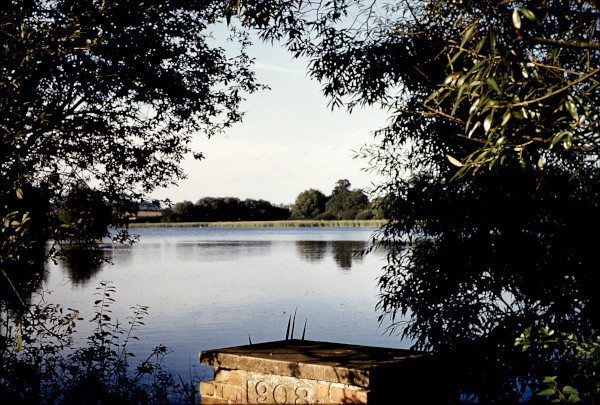 BW197-2-28-5 image BW197-2-28-5