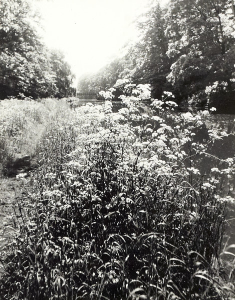 BW200-1-99-78-5 image BW200-1-99-78-5