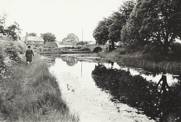 BW200-1-2-9-5 image BW200-1-2-9-5