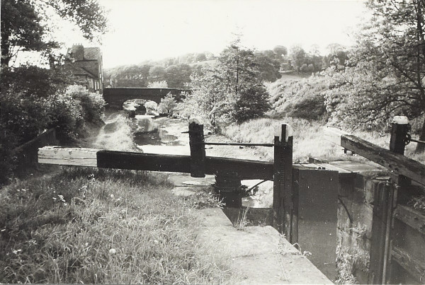 BW200-1-18-9-5 image BW200-1-18-9-5