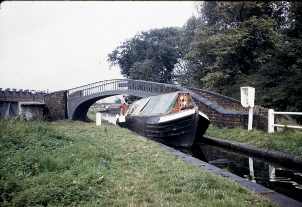 BW197-2-24-19-5 image BW197-2-24-19-5