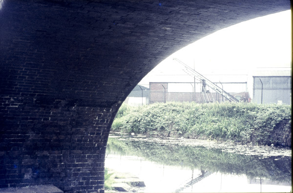 BW197-2-29-5 image BW197-2-29-5