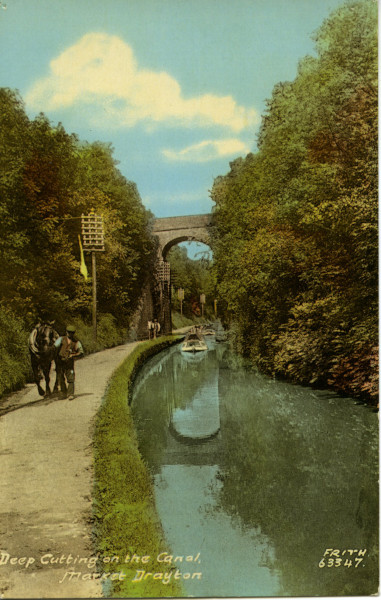 20022_0447 image 20022_0447