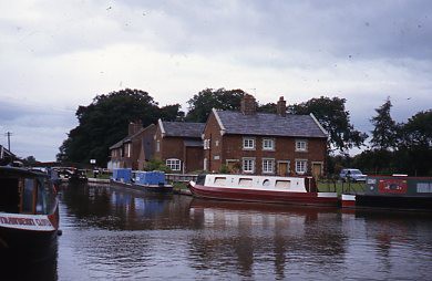 crt_wild_25 image crt_wild_25