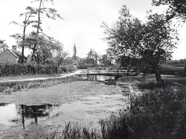 R0205 image R0205
