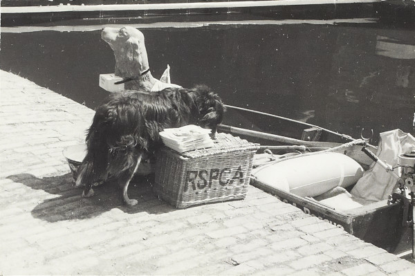 BW200-1-10-67b-15 image BW200-1-10-67b-15