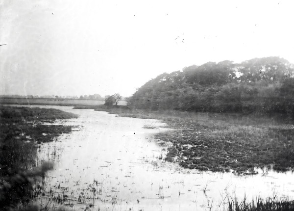 R0215 image R0215