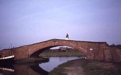 crt_wild_170 image crt_wild_170