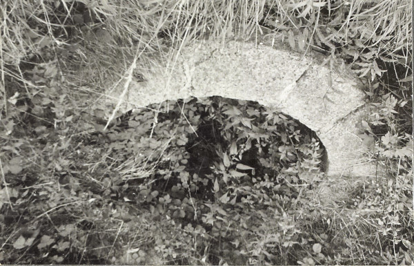 BW200-1-97-25 image BW200-1-97-25