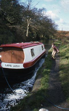 crt_wild_5 image crt_wild_5