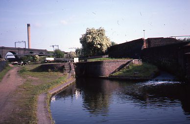 crt_wild_116 image crt_wild_116