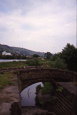 crt_wild_180 image crt_wild_180