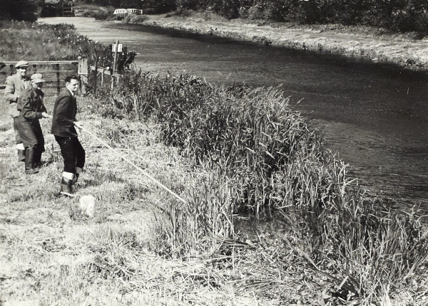 BW200-1-47-35 image BW200-1-47-35