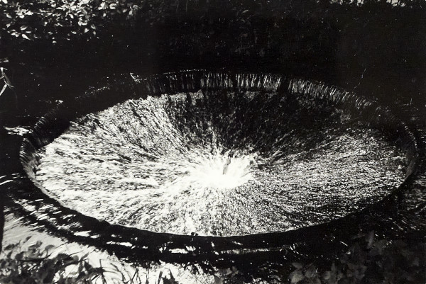 BW200-1-89-35 image BW200-1-89-35