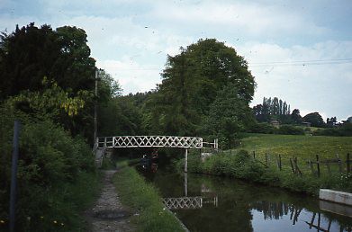 crt-wild-45 image crt-wild-45