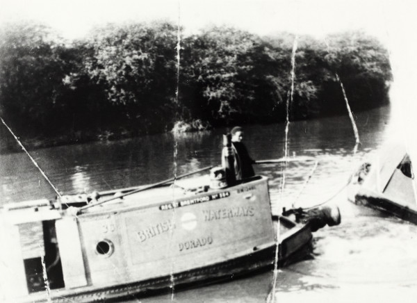 BW192-3-2-2-13-1-335 image BW192-3-2-2-13-1-335