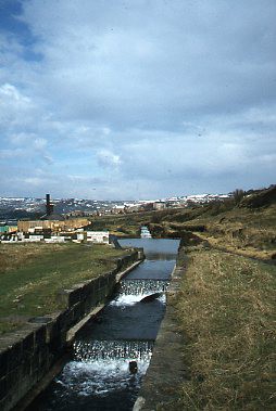 crt_wild_190 image crt_wild_190